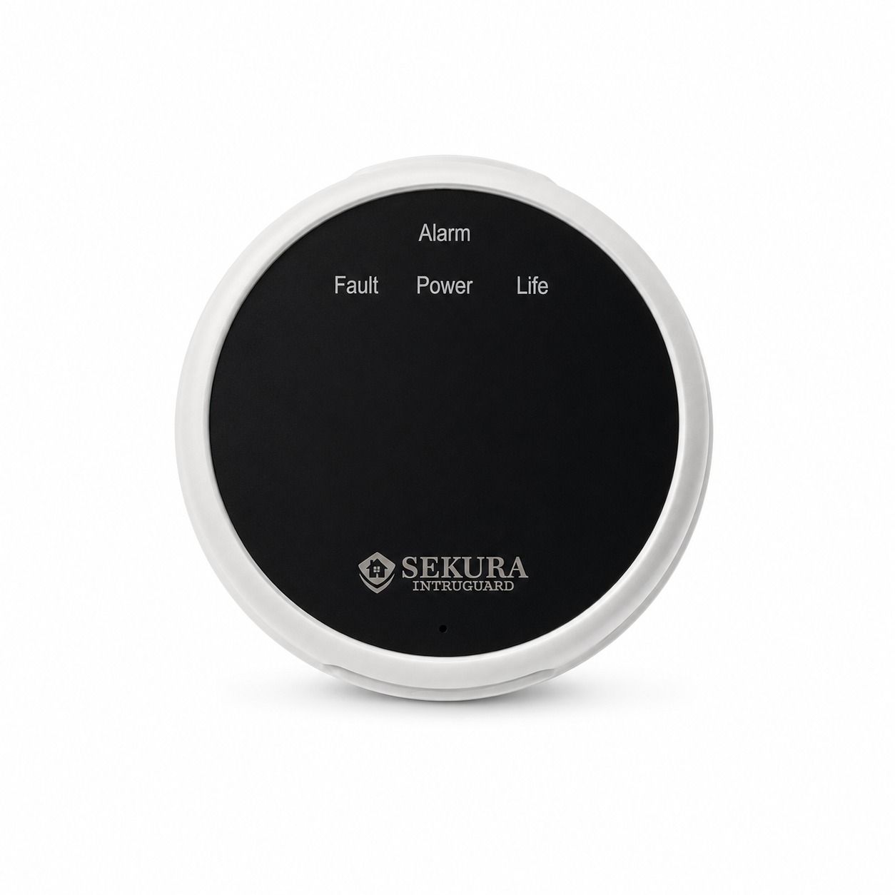 <h2>Sekura Gas Sensor</h2>
